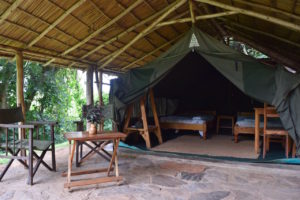 Luxury Safari Tents