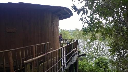 treehouse-with-view